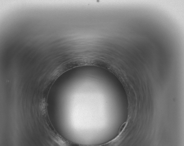 X0000067470144200604150000