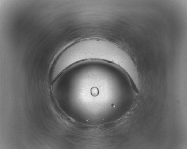 X0000067470146200604142359