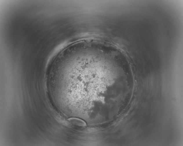 X0000067470149200604142359