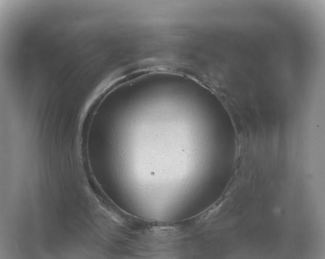 X0000067470150200604142359