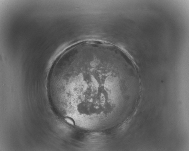 X0000067470151200604142359