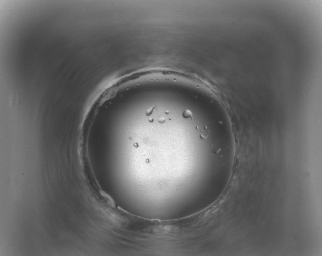 X0000067470152200604142359