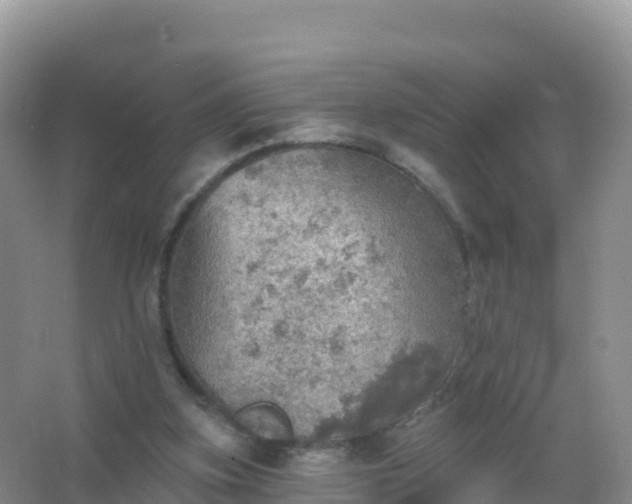 X0000067470155200604142359