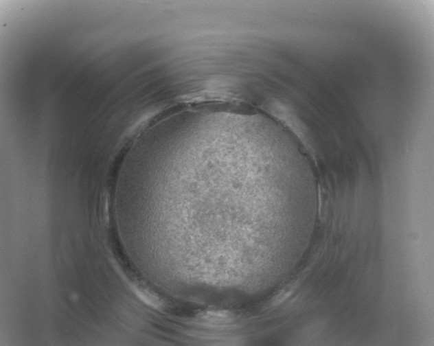 X0000067470157200604142359