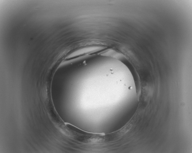 X0000067470158200604142359