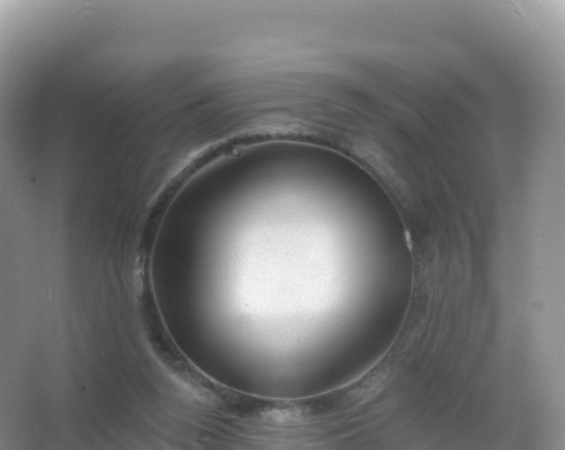 X0000067470160200604142359