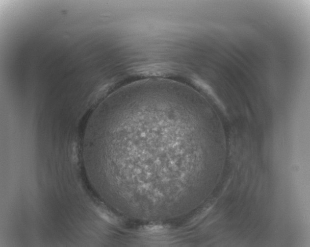 X0000067470161200604142359