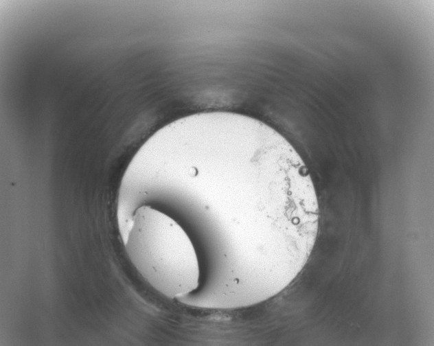 X0000067470162200604142359