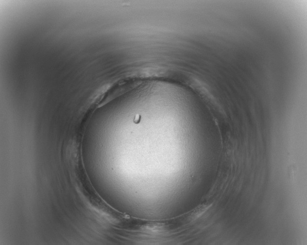 X0000067470164200604142359