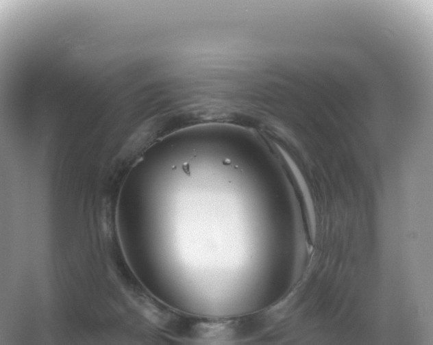 X0000067470170200604142359