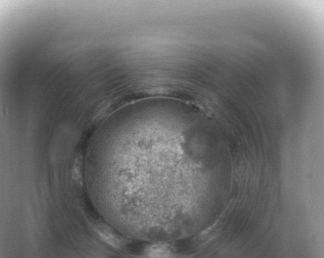 X0000067470175200604142359