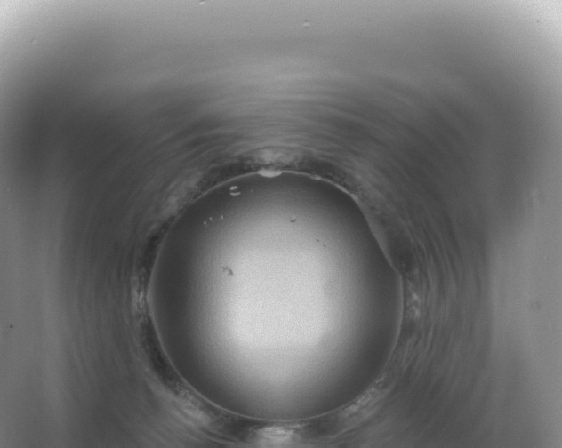 X0000067470176200604142359