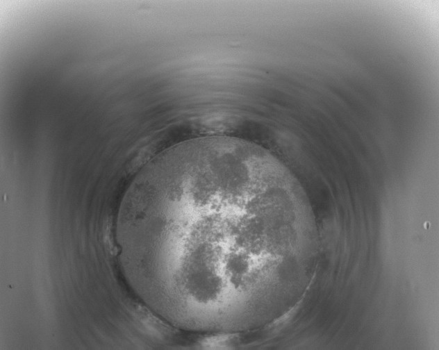 X0000067470178200604150000