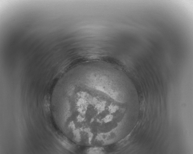 X0000067470179200604150000