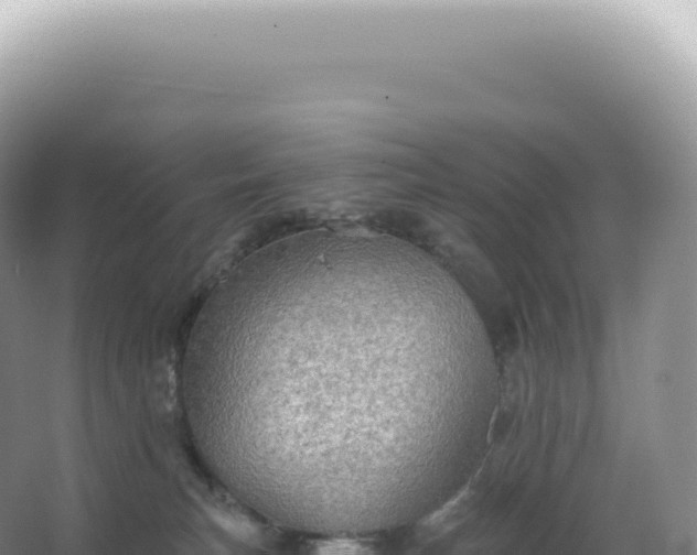 X0000067470183200604150000