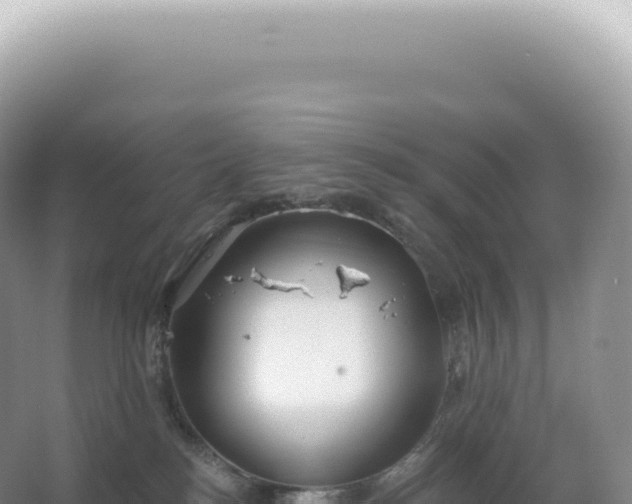 X0000067470184200604150000