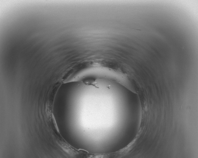 X0000067470186200604150000