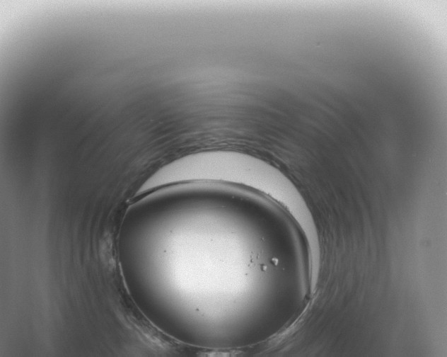 X0000067470187200604150000