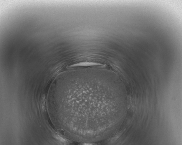 X0000067470189200604150000