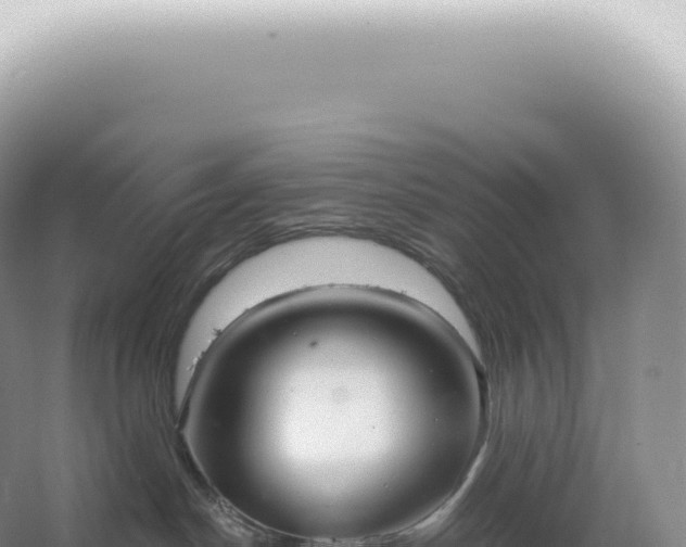 X0000067470190200604150000