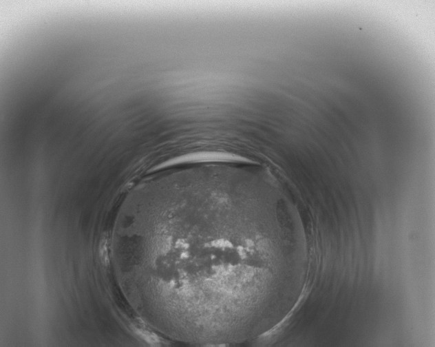 X0000067470191200604150000