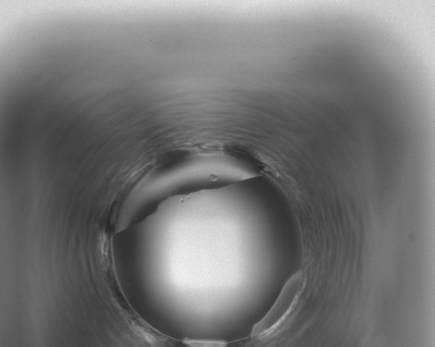 X0000067470192200604150000