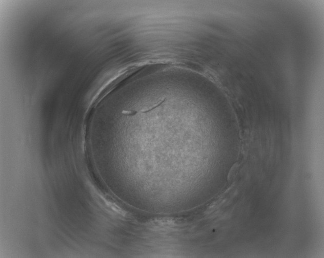 X0000067470194200604142359