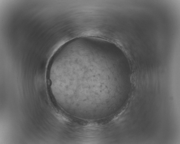 X0000067470196200604142359