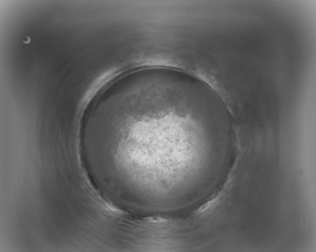 X0000067470199200604142359