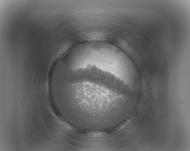 X0000067470202200604142359