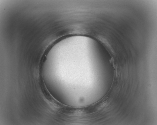 X0000067470204200604142359