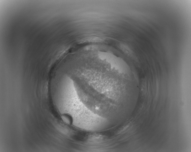 X0000067470206200604142359