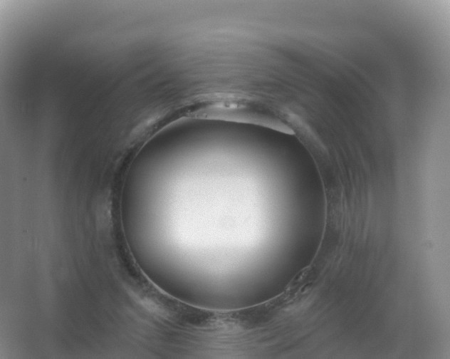 X0000067470207200604142359