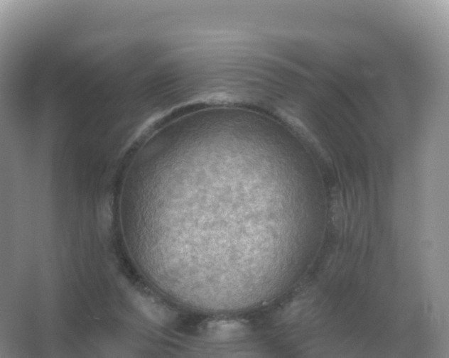 X0000067470208200604142359