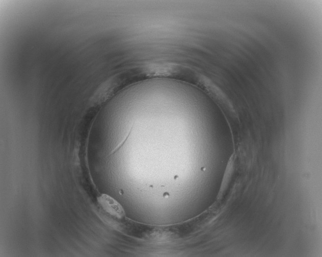 X0000067470209200604142359