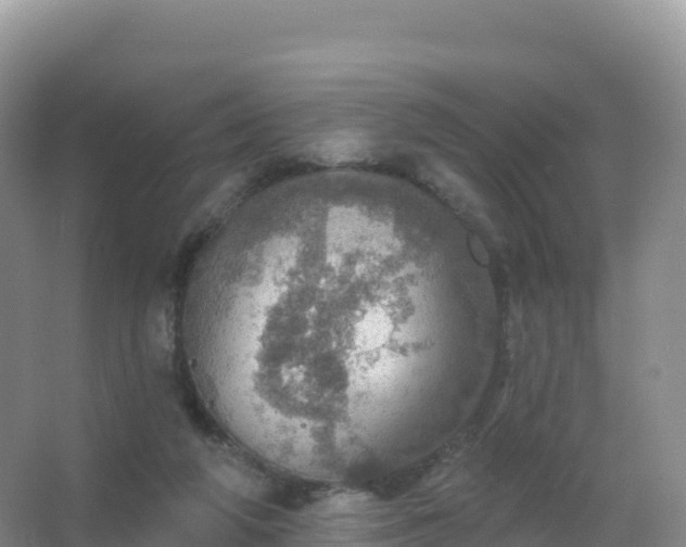 X0000067470210200604142359