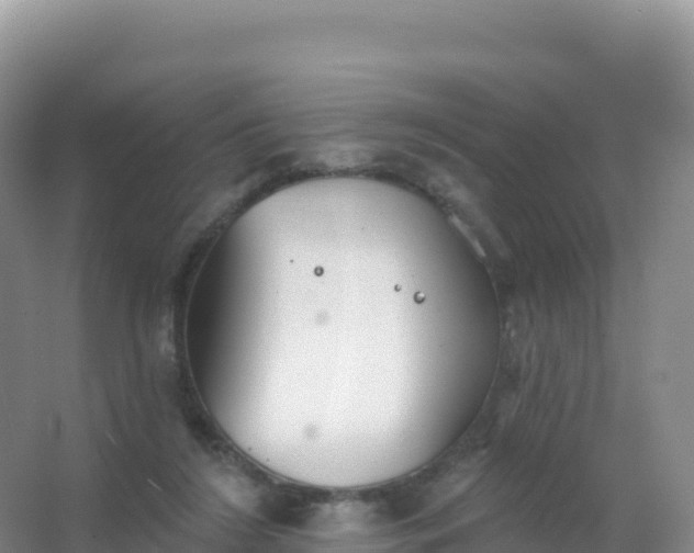 X0000067470212200604142359