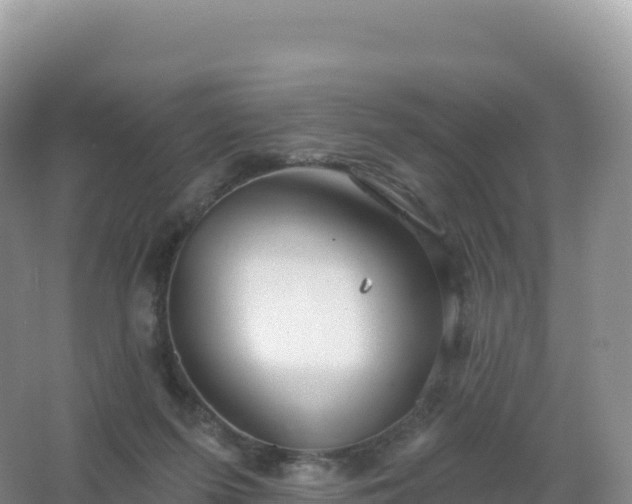 X0000067470215200604142359