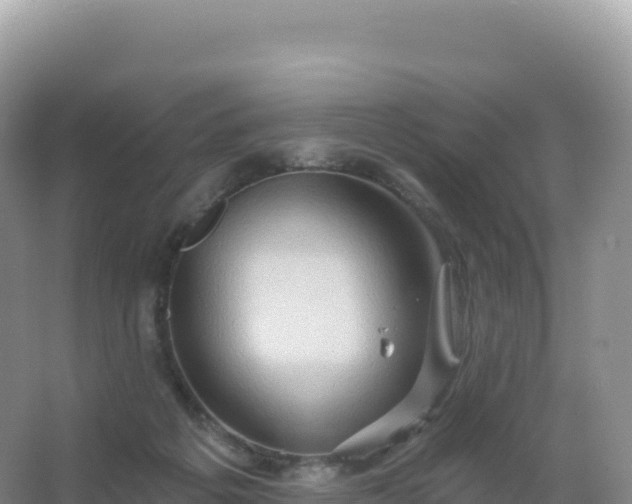 X0000067470217200604142359