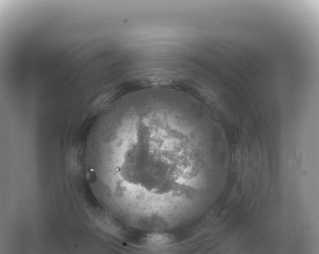 X0000067470218200604142359