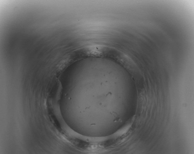 X0000067470223200604142358