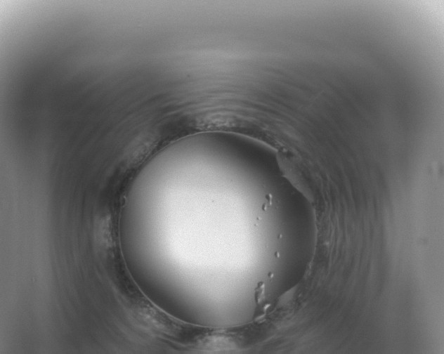 X0000067470224200604142358