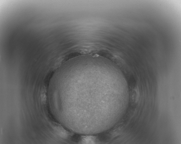 X0000067470226200604142358