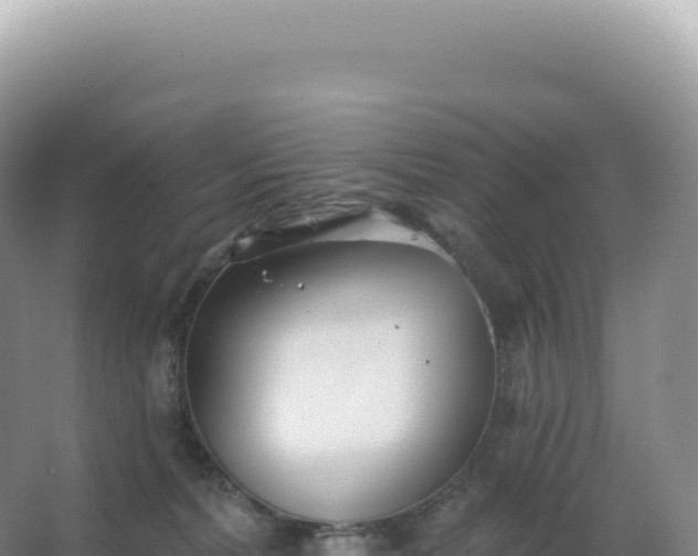 X0000067470228200604142358