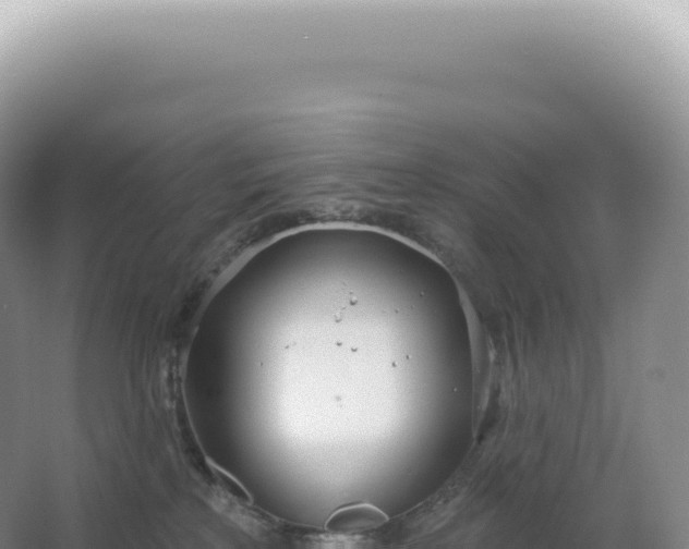 X0000067470233200604142358