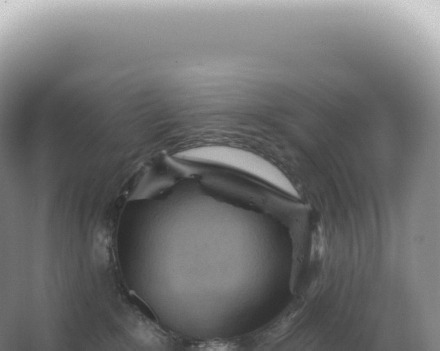 X0000067470235200604142358