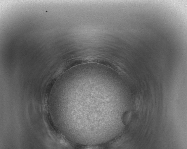 X0000067470236200604142358