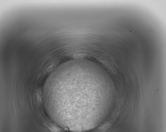 X0000067470240200604142358