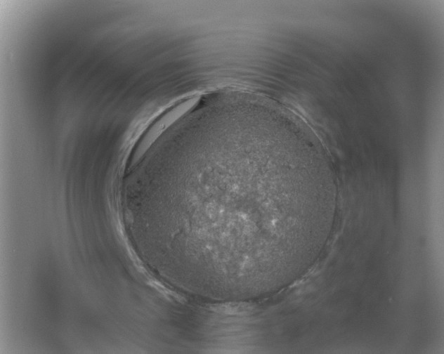 X0000067470241200604142357