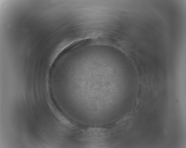 X0000067470242200604142357